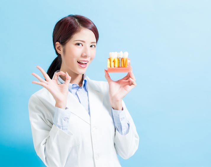 about-quest-dental-material-corp-01