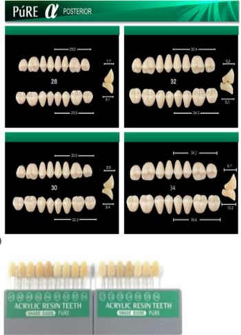acrylic-resin-teeth-mould-chart-group1-01 acrylic-resin-teeth-mould-chart-group1-01