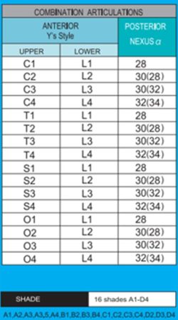 acrylic-resin-teeth-mould-chart-group2-02 acrylic-resin-teeth-mould-chart-group2-02