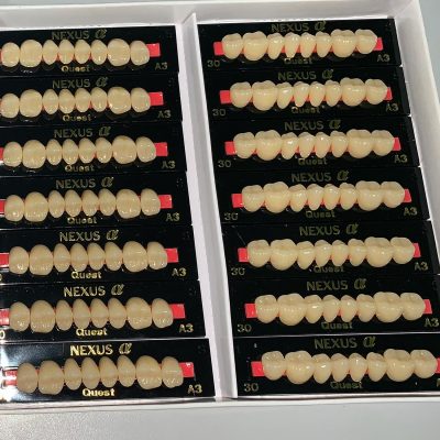 nexus-alpha-posterior-acrylic-resin-teeth-02