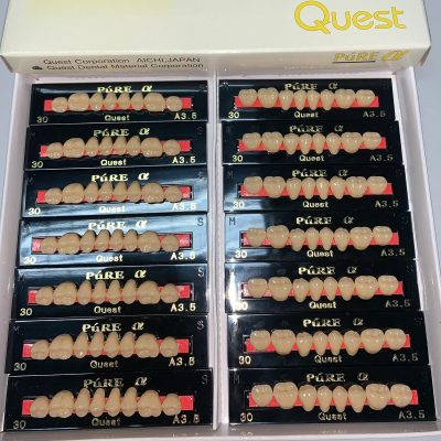 pure-alpha-posterior-acrylic-resin-teeth-02